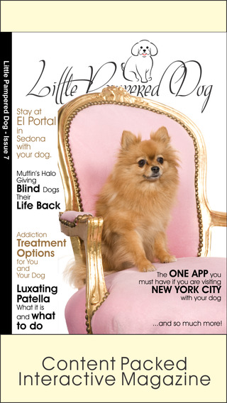 Little Pampered Dog Magazine - The Lifestyle Magazine for Little Pampered Dogs and the People Who Lo