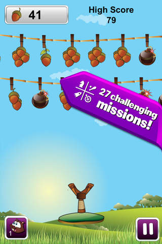 Go Nuts Pro - Fun Squirrel Shooting Game screenshot 4