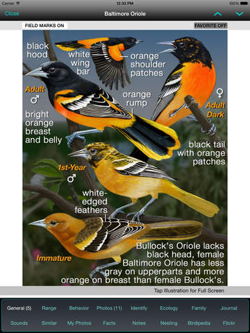 iBird Canada Guide to Birds