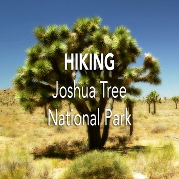 Hiking Joshua Tree National Park LOGO-APP點子