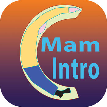 MamIntro LOGO-APP點子