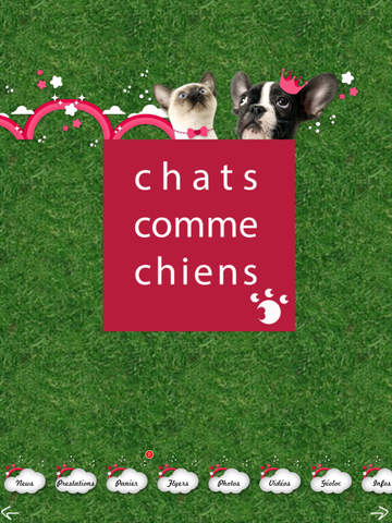 免費下載生活APP|Chats Comme Chiens app開箱文|APP開箱王