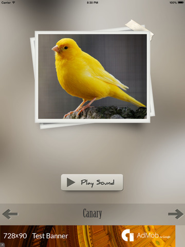 免費下載娛樂APP|Bird Sounds Ultra app開箱文|APP開箱王