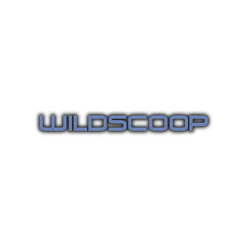 Wildscoop LOGO-APP點子