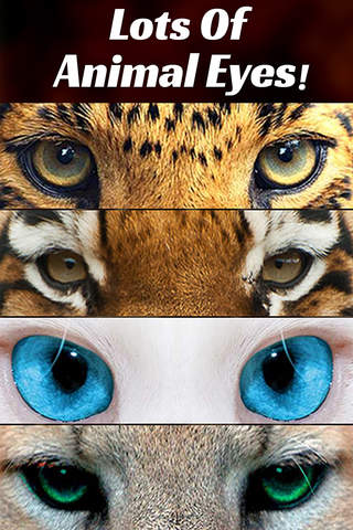 Animal Eyes Maker : Blend & Morph Into Funny Face With Tiger Eyes & Cats Eye screenshot 2