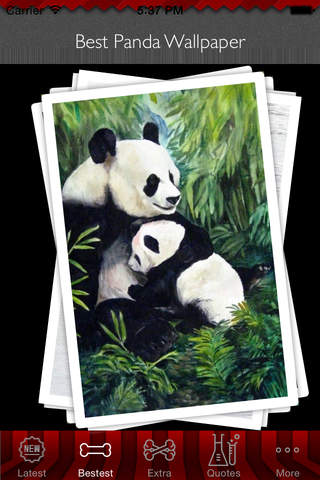 Best HD Panda Art Wallpapers for iOS 8 Backgrounds: Animal Theme Pictures Collection screenshot 4