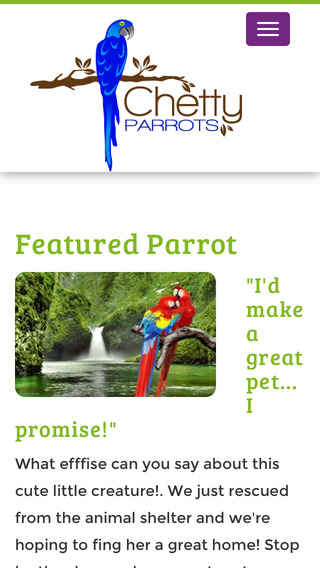 【免費生活App】Chetty Parrots-APP點子