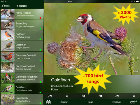 【免費書籍App】All Birds Netherlands - A Complete Field Guide to the Official List of Bird Species Recorded in the Netherlands-APP點子