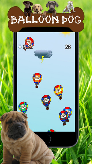 免費下載遊戲APP|Dog series: Balloon Dog app開箱文|APP開箱王