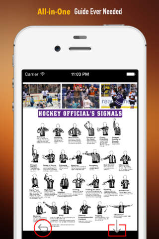 Ice Hockey 101: Quick Study Reference with Video Lessons and Glossary screenshot 2
