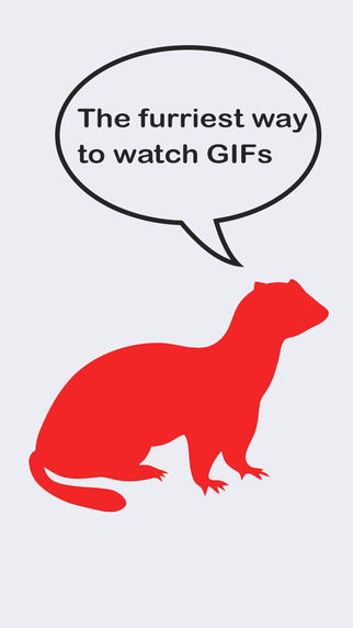 Furry Ferret - GIFs GIFs and GIFs