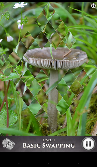 Hidden Scenes - Funky Fungi