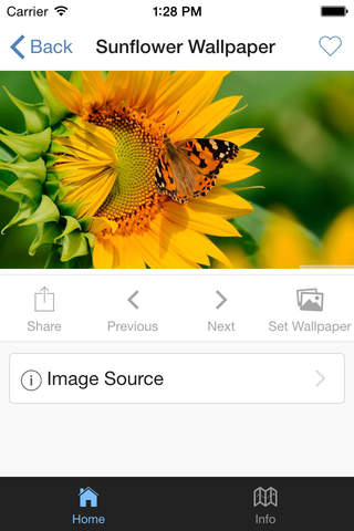 Sunflower Wallpaper screenshot 2