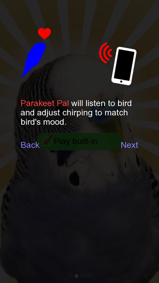 【免費生活App】Parakeet Pal Free-APP點子