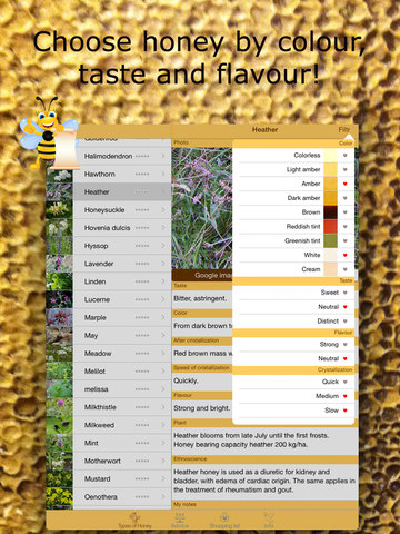 免費下載生活APP|Honey Guide app開箱文|APP開箱王
