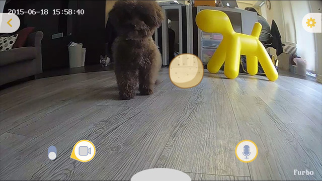 免費下載生活APP|Furbo - Interactive Dog Camera app開箱文|APP開箱王
