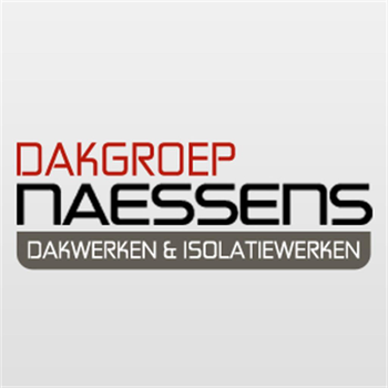 Dakwerken Naessens LOGO-APP點子