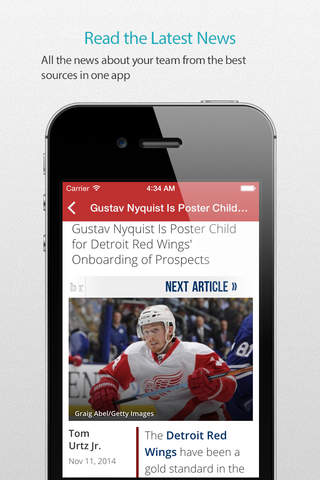 Detroit Hockey Alarm screenshot 3