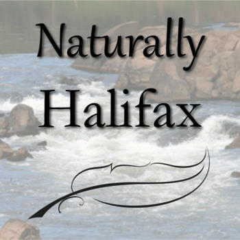 Visit Halifax NC LOGO-APP點子