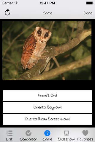 Owl Expert screenshot 2