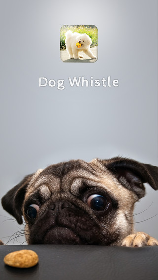 【免費娛樂App】Free Dog Whistle Training Kit-APP點子