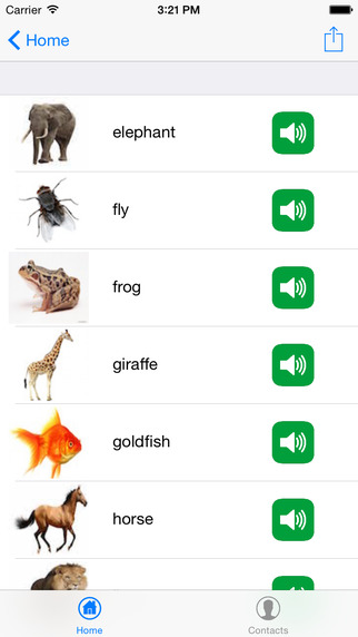 免費下載遊戲APP|Animals in English New app開箱文|APP開箱王