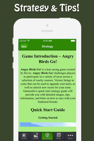 Guide for Angry Birds Go! screenshot 4