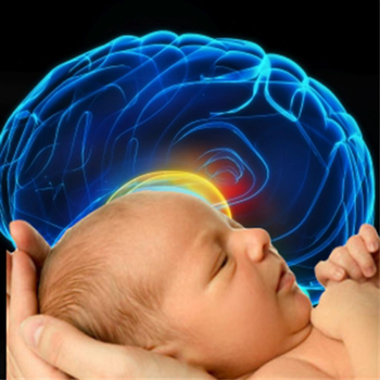 Nurture Baby Brain LOGO-APP點子