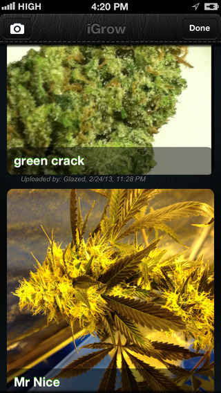 【免費醫療App】Strains Pro - An Advanced Breeder's Guide to World's Distinctive Cannabis-APP點子