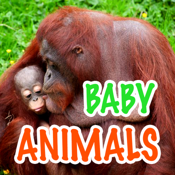 Baby Animals - Learn Animal Names! LOGO-APP點子