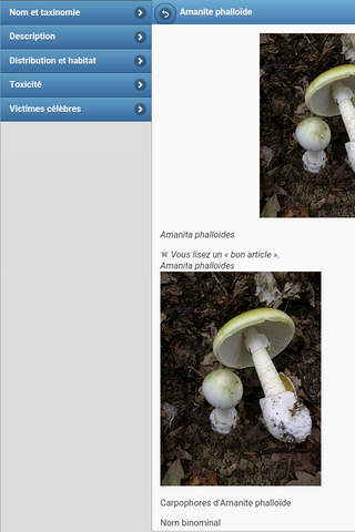 Directory of mushrooms screenshot 4