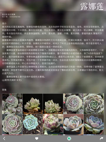 【免費社交App】多肉植物-APP點子