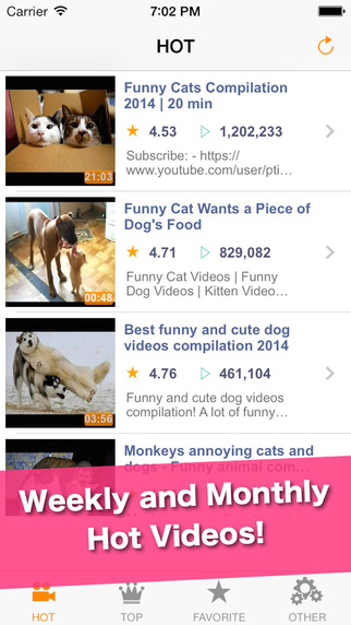 【免費娛樂App】Funny Animal Videos - LOL animals and funny video and funny cuty animal movie viewer-APP點子