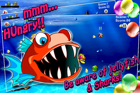 My Hungry fishQ for fun - Top FREE Action game screenshot 2