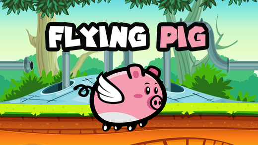 Flying Pig Adventures