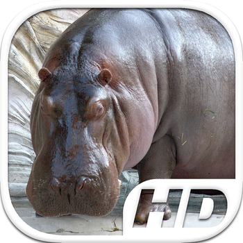 Hippo (Hippopotamus) Simulator HD Animal Life LOGO-APP點子