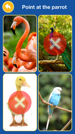 【免費遊戲App】Birds and Animals for Kids-APP點子