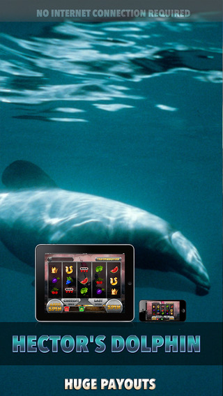 Hector's Dolphin - FREE Slot Game Blackbird Happy Jackpots Lot
