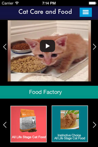 Cat Care and Food screenshot 2
