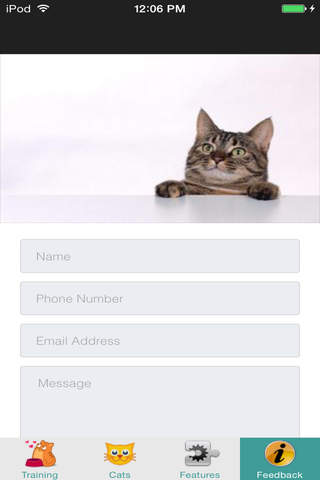 Cat Training - Litter Box Rules screenshot 4