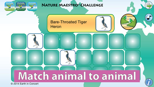 Nature Maestro Challenge