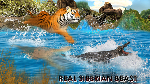 Wild Tiger Jungle Hunt 3D - Real Siberian Beast Attack on Deer in Safari Animal Simulator Game