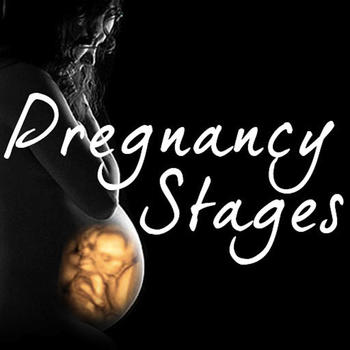 Pregnancy Stages LOGO-APP點子