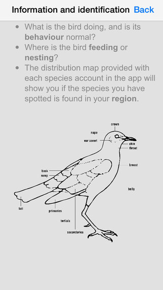 【免費書籍App】Sasol First Field Guide Common Birds of Southern Africa (Full Version)-APP點子