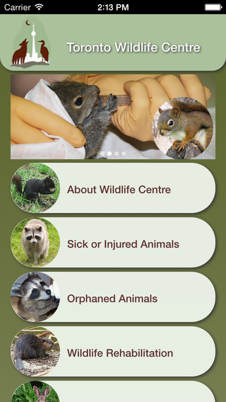 免費下載教育APP|Wildlife Help - Toronto Wildlife Centre Rescue Injured, Sick & Orphaned Wild Animals app開箱文|APP開箱王