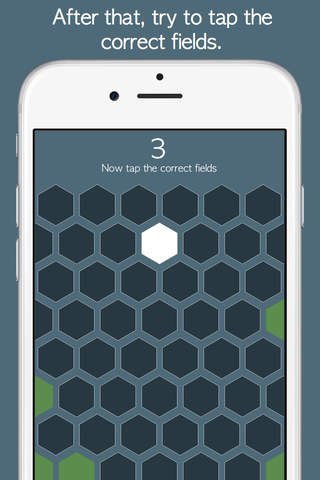 Hidden Hexagon screenshot 3