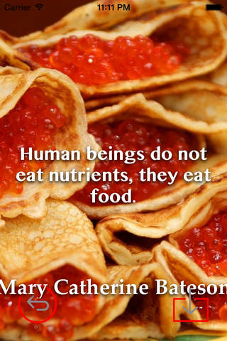 Food Art Theme HD Wallpaper and Best Inspirational Quotes Backgrounds Creator screenshot 4