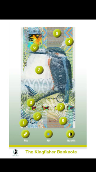 Kingfisher Banknote