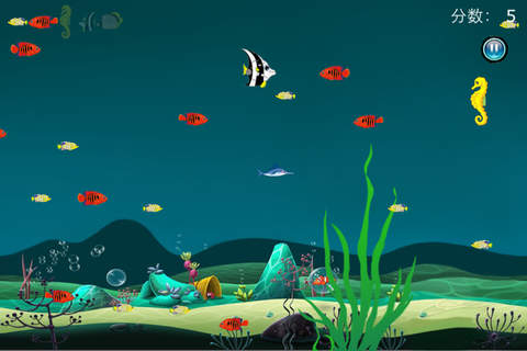 海洋知识竞赛之海洋食物链 screenshot 2