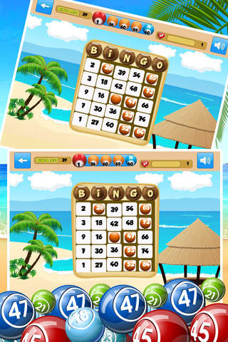 A Bingo Blitz - All Casino Of Fun To Rush Pro screenshot 3